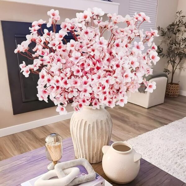 cherry blossoms