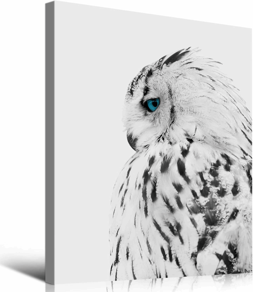 Snowy Owl Photography Art