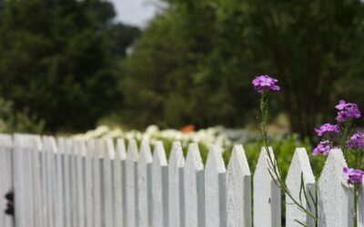 Best Fence Paint Colours to Boost Curb Appeal in 2026