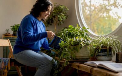 Best Indoor Plants for Mold: 8 Top Picks for 2026