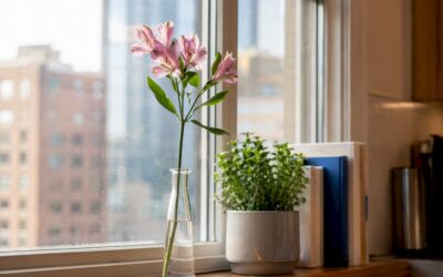 Apartment Flowers for Small Spaces: Easy Picks and Styling