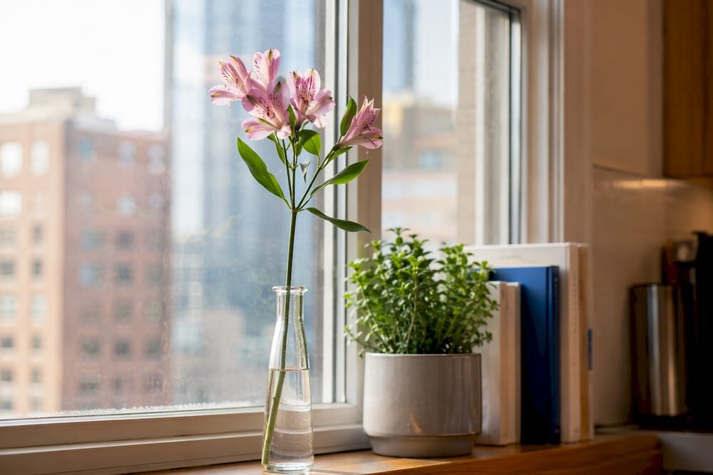Alstroemeria stem in narrow bud vase on bathroom shelf