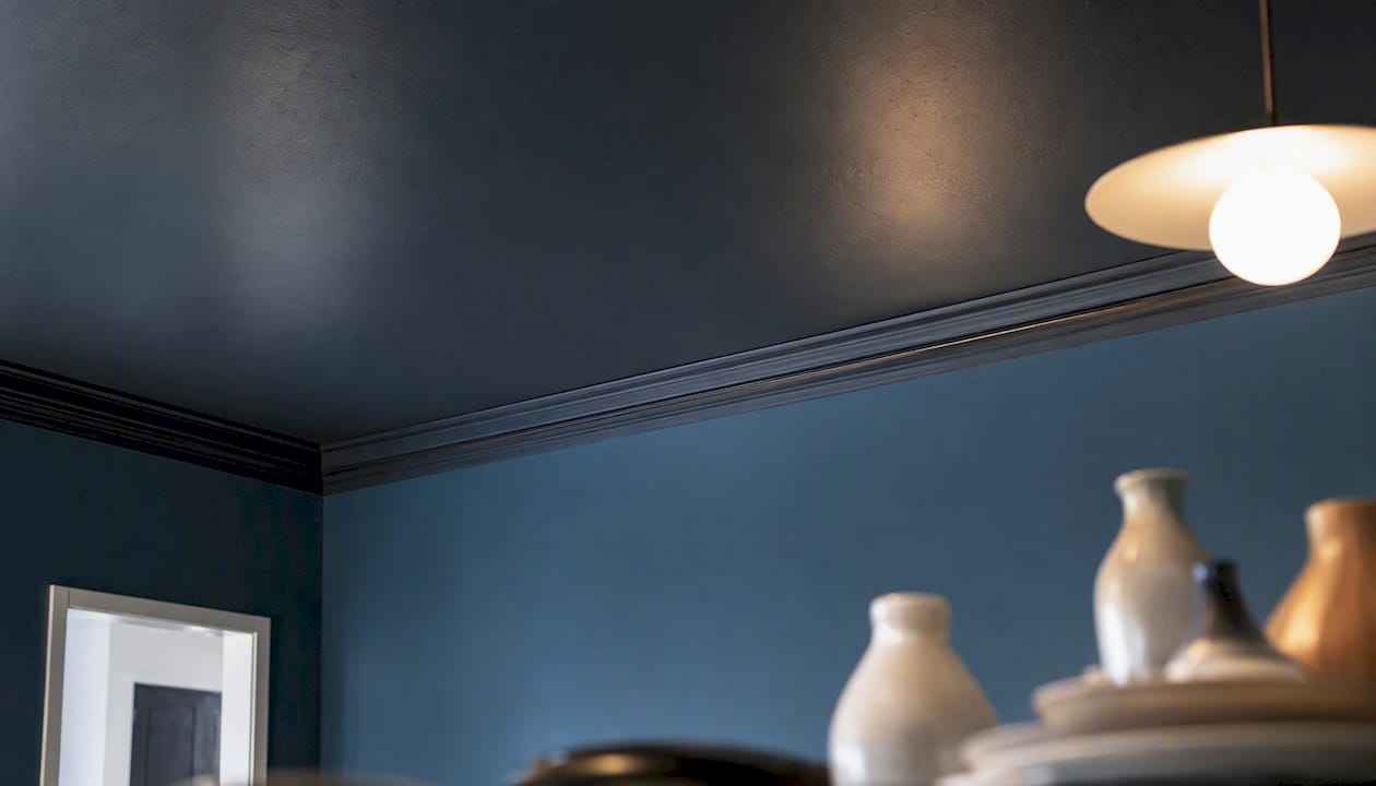 Dining room deep moody blue ceiling