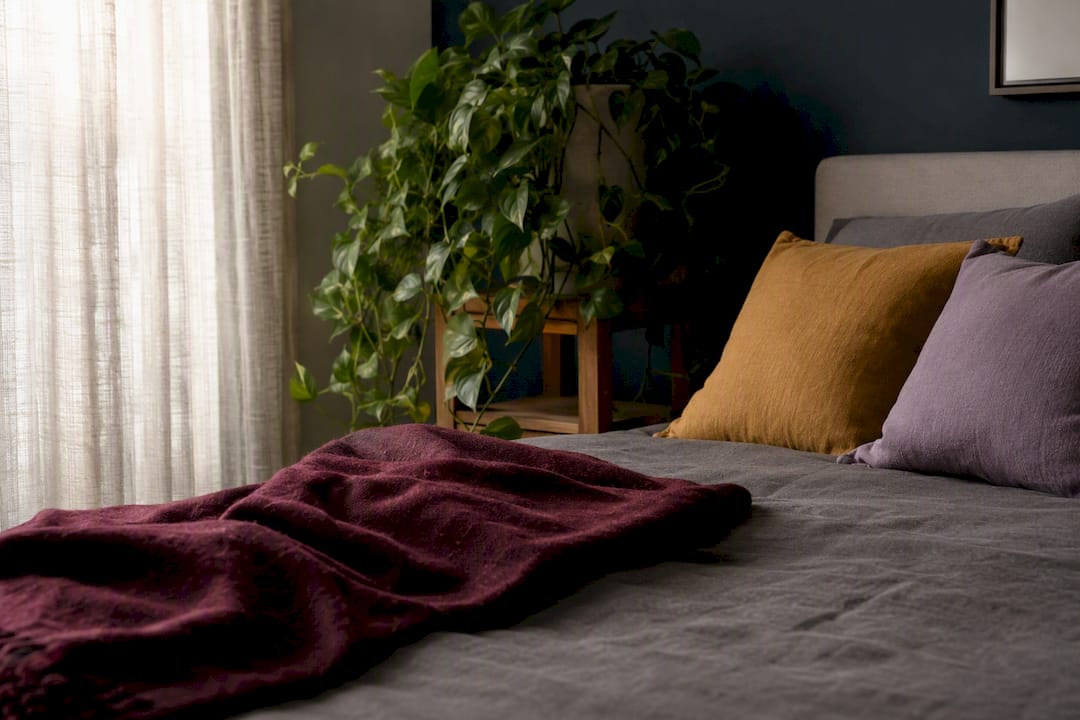 Seasonal textiles and houseplants in moody room